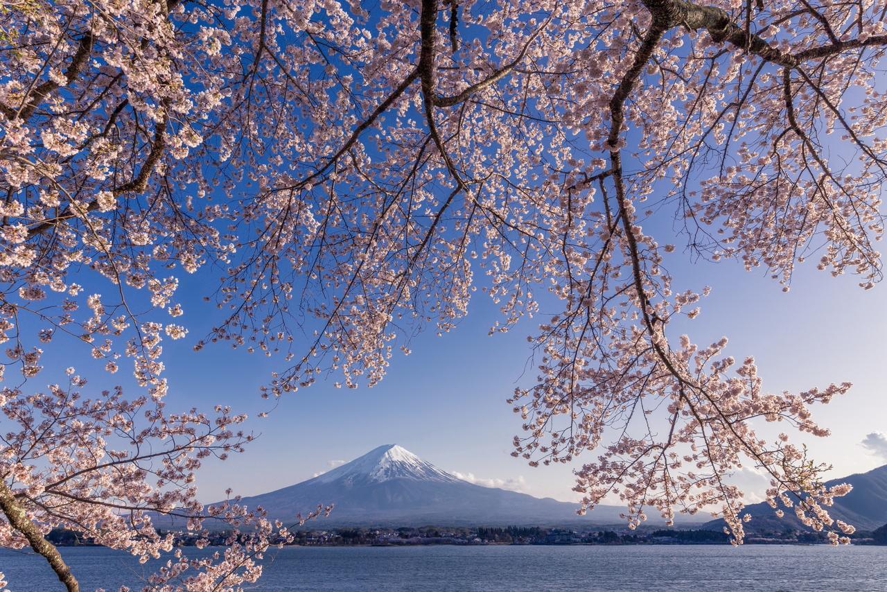 Villas Fuji ฟูจิคาวากุจิโกะ ภายนอก รูปภาพ