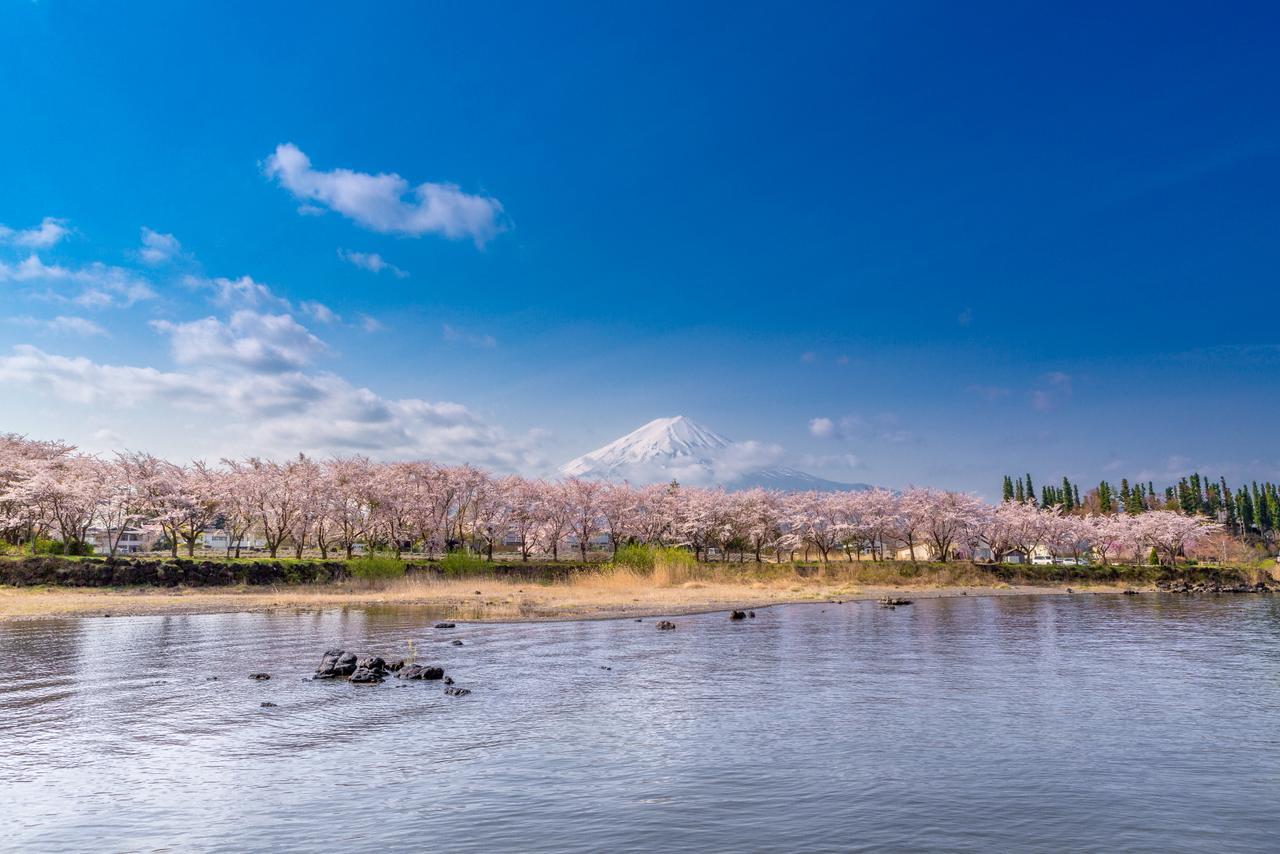 Villas Fuji ฟูจิคาวากุจิโกะ ภายนอก รูปภาพ